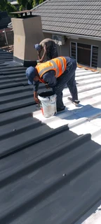 Roof cleaning and Seal it