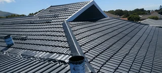 Roof Painting and seal it