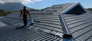 Roof Painting and seal it