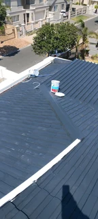 Roof Painting and seal it