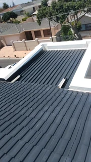 Roof Painting and seal it