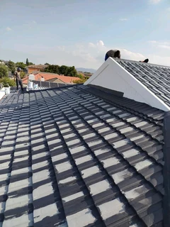 Roof Painting and seal it