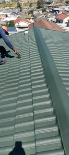 Roof cleaning and painting