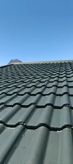 Roof cleaning and painting
