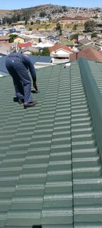Roof cleaning and painting