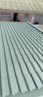 Roof cleaning and painting