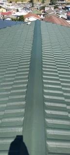 Roof cleaning and painting