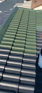 Roof cleaning and painting