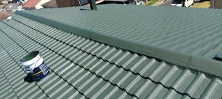 Roof cleaning and painting