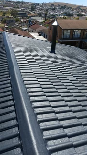 Roof cleaning and painting