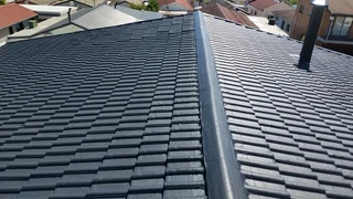 Roof cleaning and painting