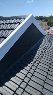 Roof painting and waterproofing