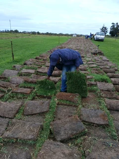 GREEN GRASS INSTALLATION