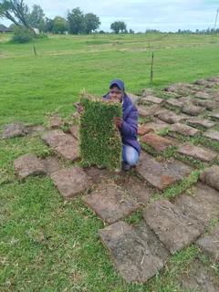 GREEN GRASS INSTALLATION