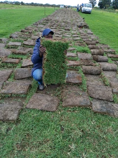 GREEN GRASS INSTALLATION