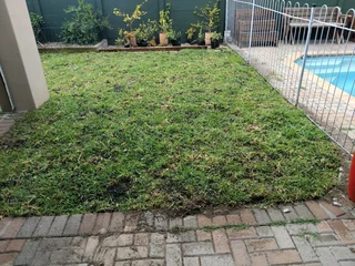 The kikuyu grass green