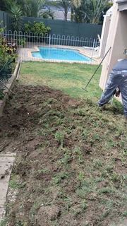 The kikuyu grass green