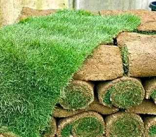 Grass Installation And Compost