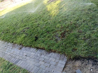 GRASS INSTALLATION AND COMPOST