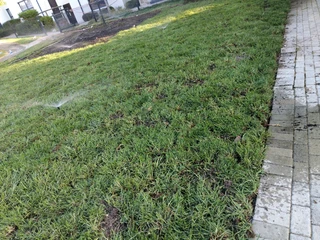 GRASS INSTALLATION AND COMPOST