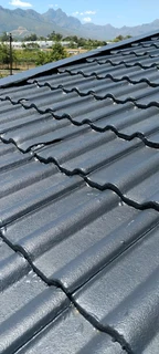 Roof painting and cleaning