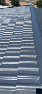 Roof painting and cleaning