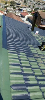 Roof painting and cleaning