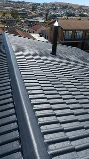 Roof painting and cleaning