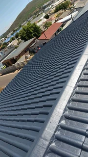 Roof painting and cleaning