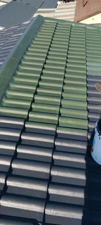 Extrior and Interior painting