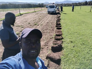 Berea grass, Buffalo, kikuyu and Cynodon