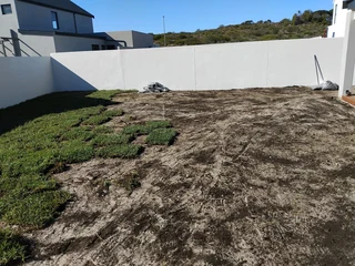Berea grass, Buffalo, kikuyu and Cynodon