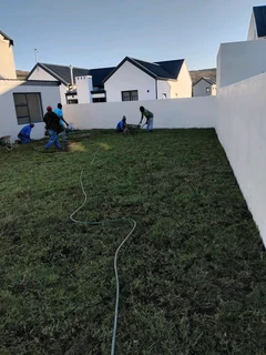 Berea grass, Buffalo, kikuyu and Cynodon