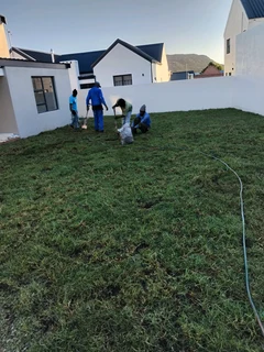 GREEN GRASS COMPOST ALSO