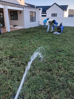 GREEN GRASS COMPOST ALSO