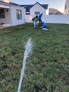 GREEN GRASS COMPOST ALSO