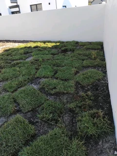 GREEN GRASS COMPOST ALSO