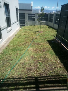 Roll on lawn Kikuyu grass