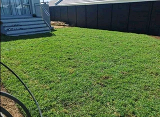 Roll on lawn Kikuyu grass