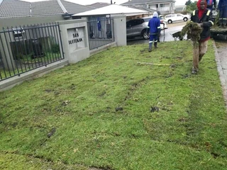 Roll on lawn Kikuyu grass