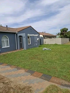 Green kikuyu grass fresh