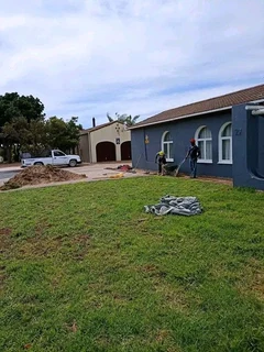 Green kikuyu grass fresh