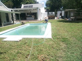 Buffalo,Kikuyu and Berea in stock