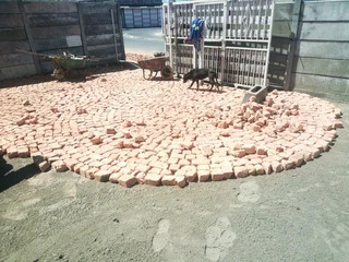 CIRCLE PATTERN OF HALF BRICK PAVING