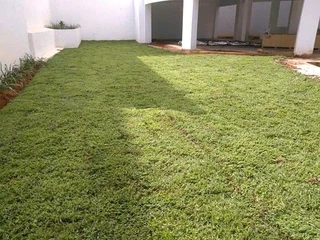 Farm fresh lawn