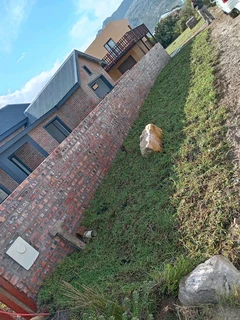 Weeds free kikuyu and Berea