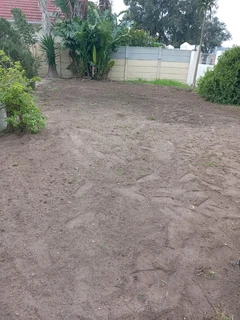 Weeds free kikuyu and Berea