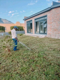 Weeds free kikuyu and Berea