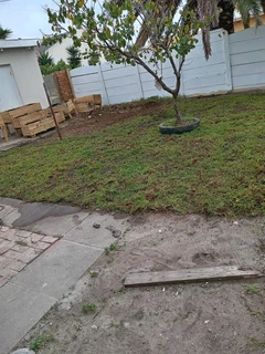 Weeds free kikuyu and Berea