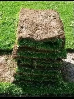Grass installer